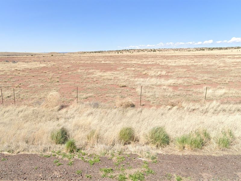 1.04 Ac in Saint Johns, $200/Mo : Saint Johns : Apache County : Arizona