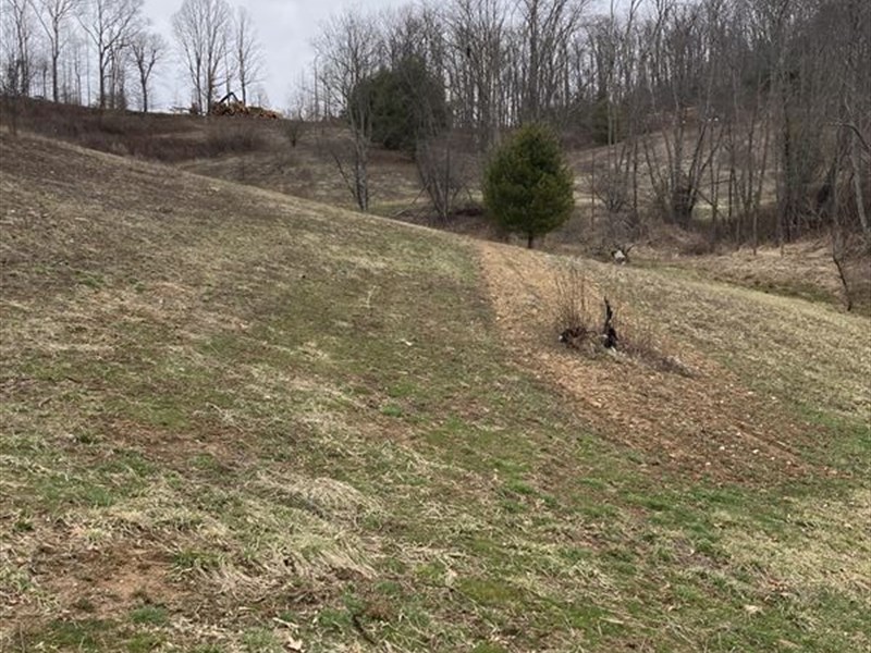 Grassy Lot in Mountains of NC : Grassy Creek : Ashe County : North Carolina