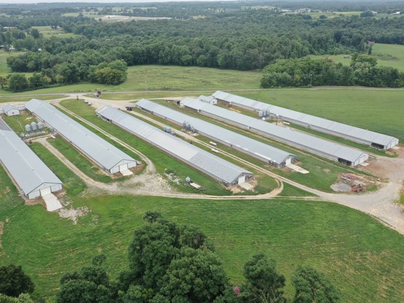 Wooden Breeder Farm : Pikeville : Bledsoe County : Tennessee