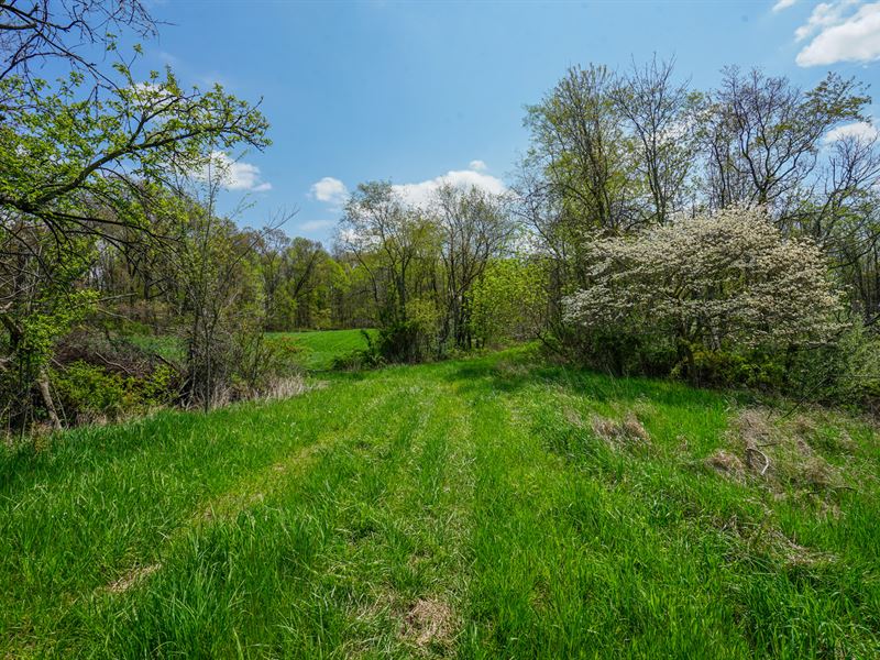 Steubenville Rd 10 Acres : Carrollton : Carroll County : Ohio