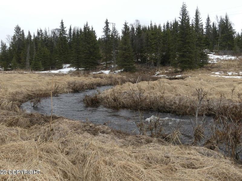 Wild Land on Happy Creek : Ninilchik : Kenai Peninsula Borough : Alaska