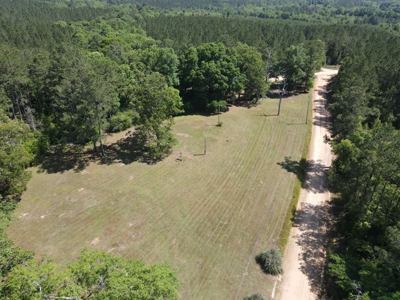 5 Ac Furman Rd Loango, AL : Red Level : Covington County : Alabama