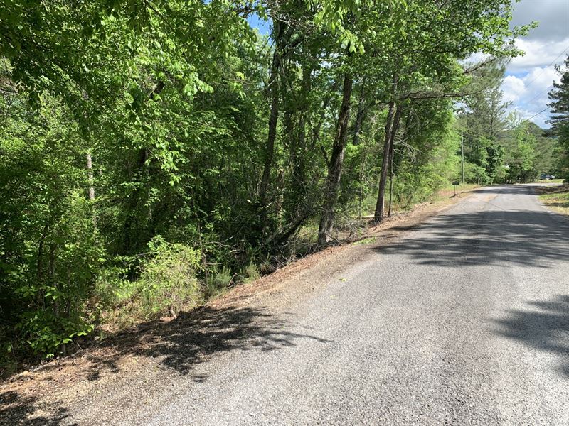 Lookout Mountain Homesite : Gadsden : Etowah County : Alabama