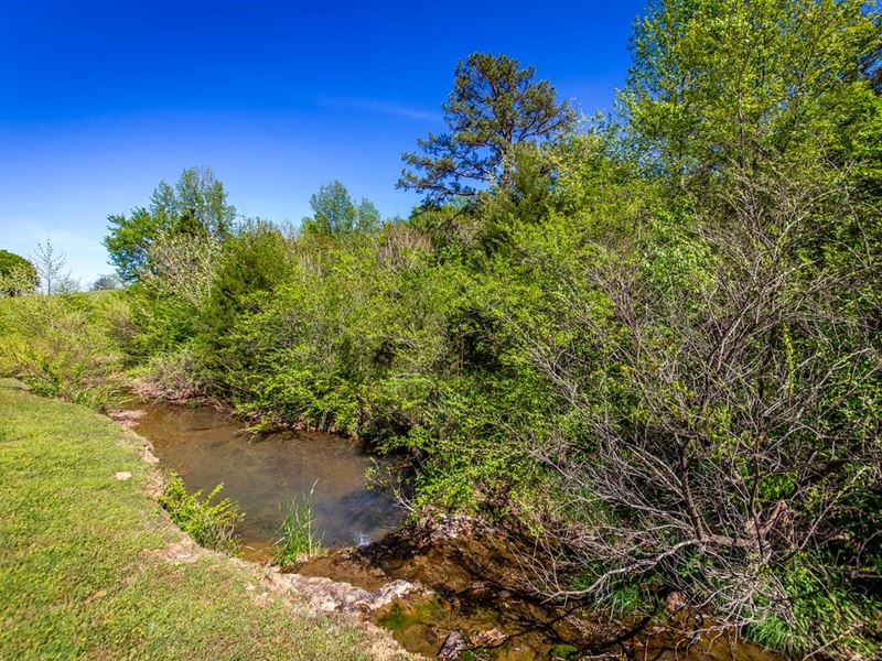 Close to River & Lake : Shirley : Van Buren County : Arkansas