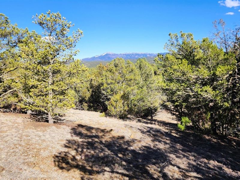 22 Colorado Mountain Lake Estates : Trinidad : Las Animas County : Colorado