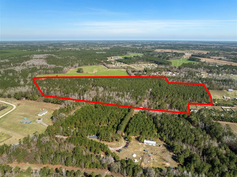 Daphane Lot 3, 9.48 Acres : Loris : Horry County : South Carolina