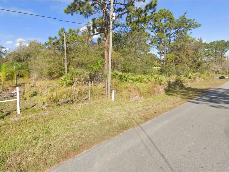 Secluded Neighborhood in St. Cloud : Saint Cloud : Osceola County : Florida