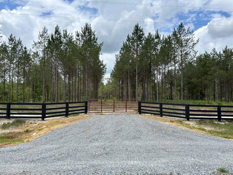 Bluewater Country Lot 5 : Dexter : Laurens County : Georgia