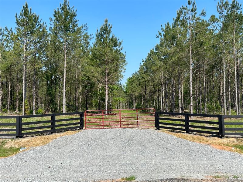 Bluewater Country Lot 8 : Dexter : Laurens County : Georgia