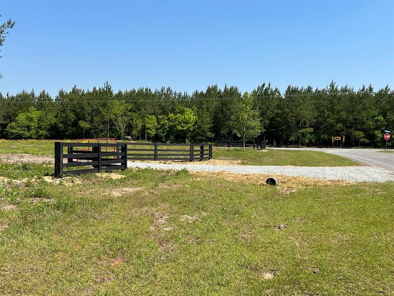 Bluewater Country Lot 15 : Dexter : Laurens County : Georgia