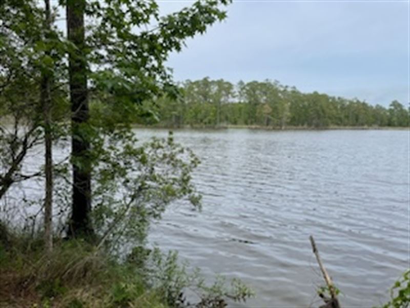 Waterfront Property in Coastal NC : Belhaven : Beaufort County : North Carolina