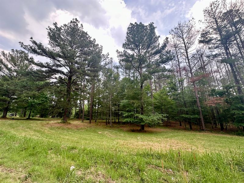 2.54 Acre Residential Lot in Madiso : Madison : Madison County : Mississippi