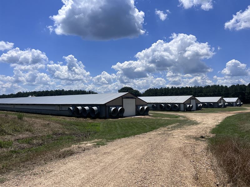 Clean 6 House Farm with Residence : Tylertown : Walthall County : Mississippi