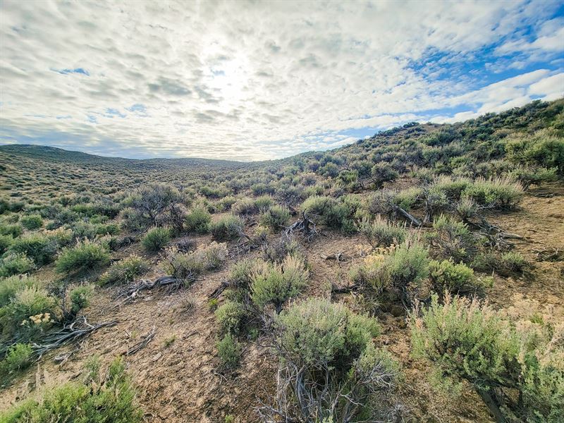 Outdoor Paradise with Room to Roam : Elko : Elko County : Nevada