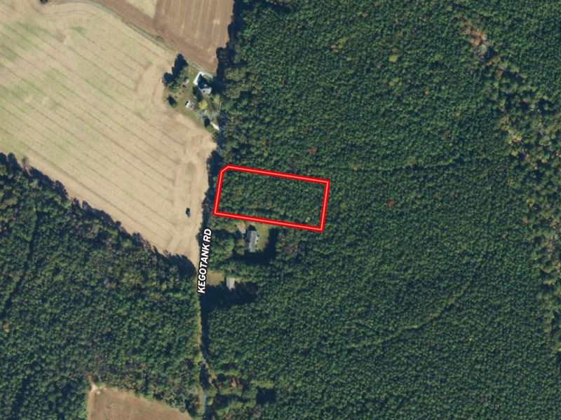 1.73 Acre Building Lot for Sale : Nelsonia : Accomack County : Virginia