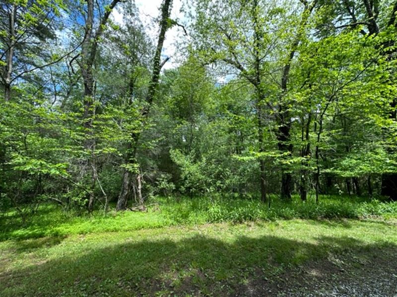 4 Unrestricted Acres : Independence : Grayson County : Virginia