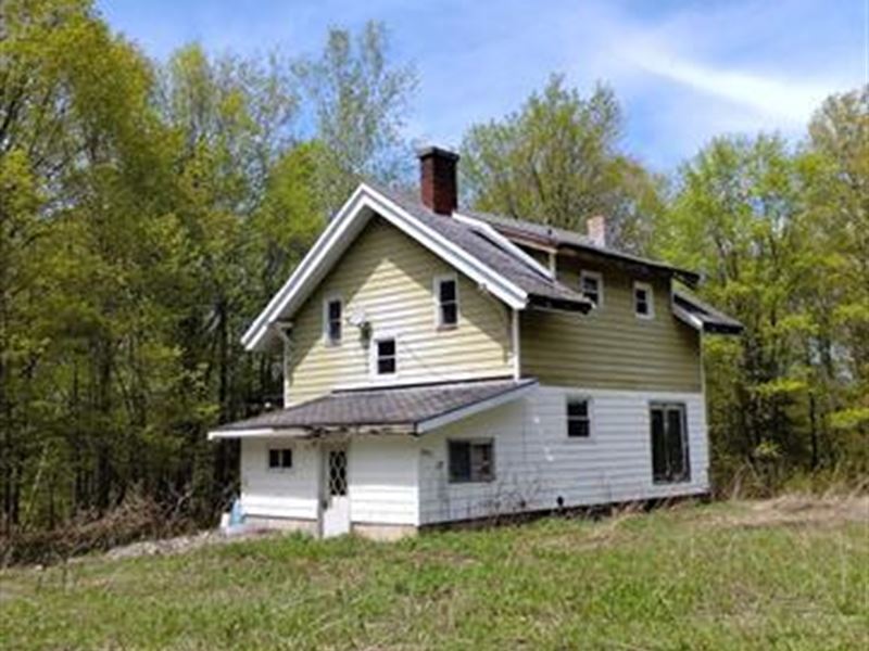 Fantastic Opportunity, 3 Bdrm Home : Michigamme : Baraga County : Michigan