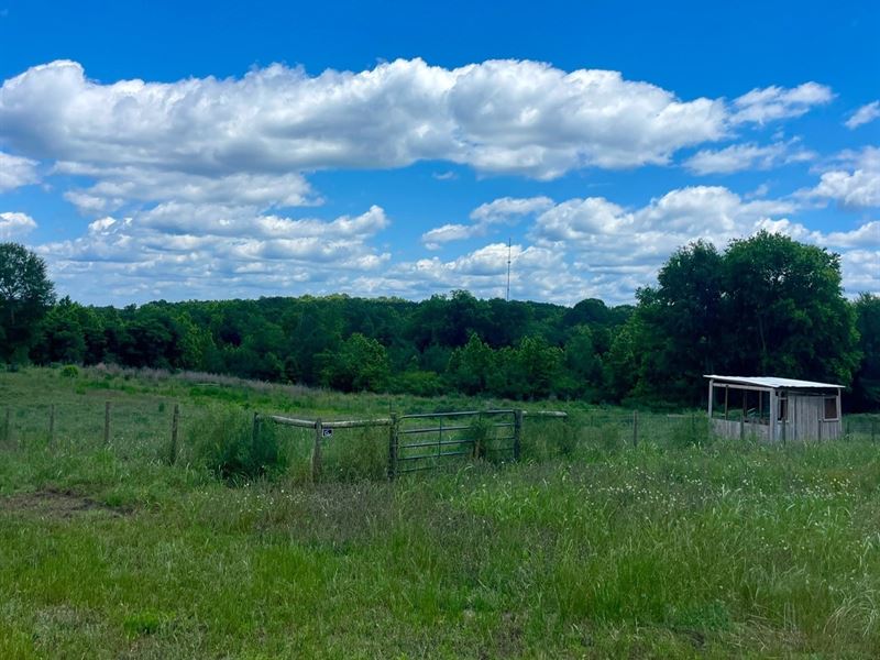 Awesome Acreage, Oglethorpe County : Stephens : Oglethorpe County : Georgia