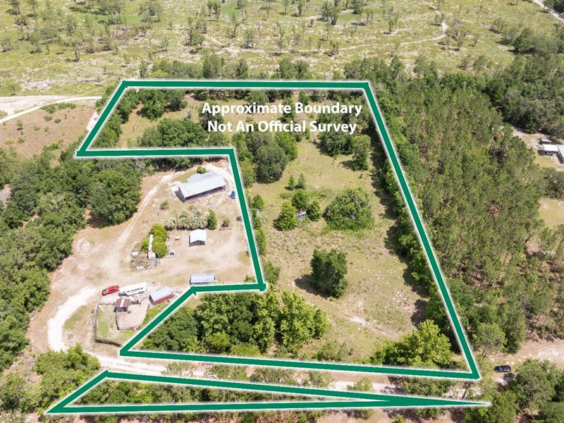 Beautiful 5.1 Acres : O'brien : Suwannee County : Florida