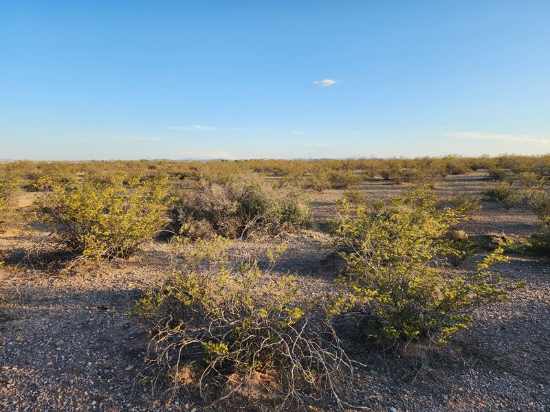 Start Your Dream on 0.53 Acre : Deming : Luna County : New Mexico