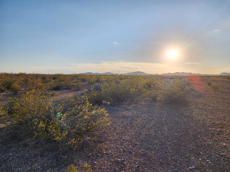 Your New Mexico Life Starts Here : Deming : Luna County : New Mexico