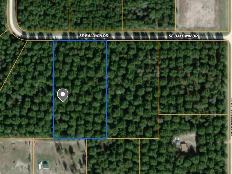 Vacant SE Baldwin Lot 16 : Lee : Madison County : Florida