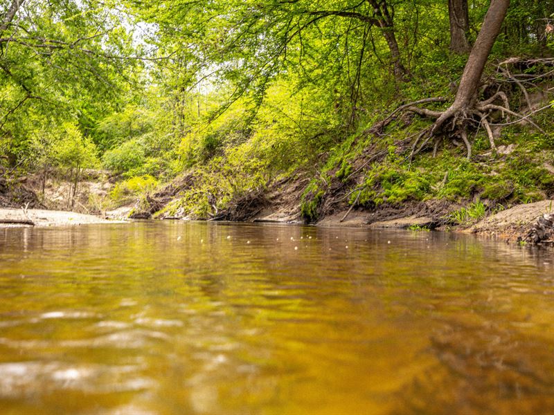 Big Experience on a Small Tract : Byram : Hinds County : Mississippi