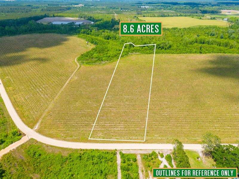 Tract 9, 8.5 Acres on Sellers Road : Baxley : Appling County : Georgia