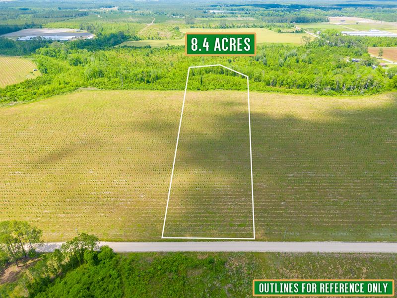 Tract 11, 8.5 Acres on Sellers Rd : Baxley : Appling County : Georgia