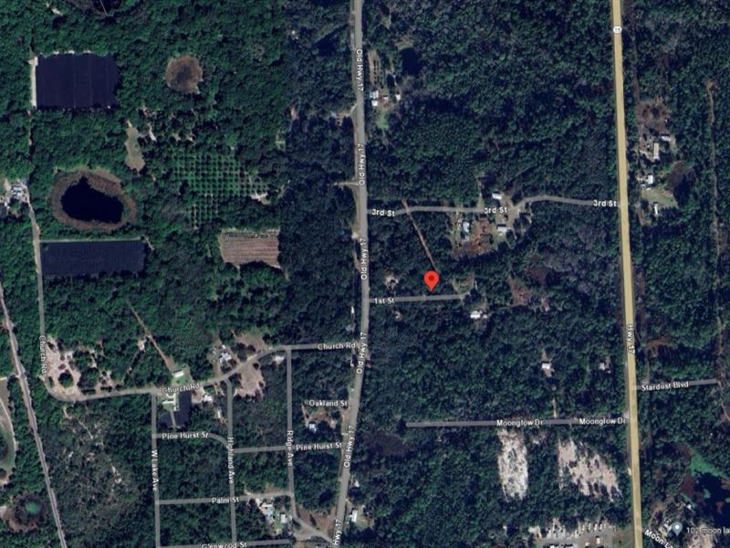 Nice Lot in Cresent City, Florida : Cresent City : Putnam County : Florida