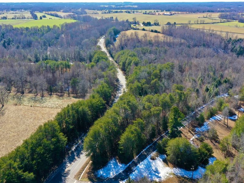 9.36 Acres Over Looking Spring Cree : Cookeville : Overton County : Tennessee