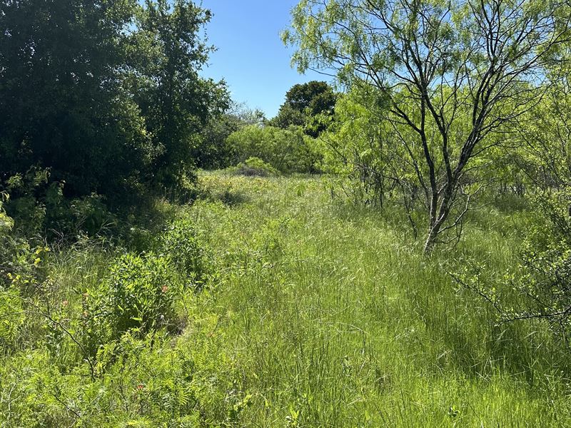 1.73 Acres in Luling, Texas : Luling : Caldwell County : Texas