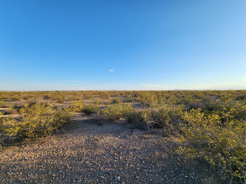 Your 0.50 Acre Dream Land Awaits : Deming : Luna County : New Mexico