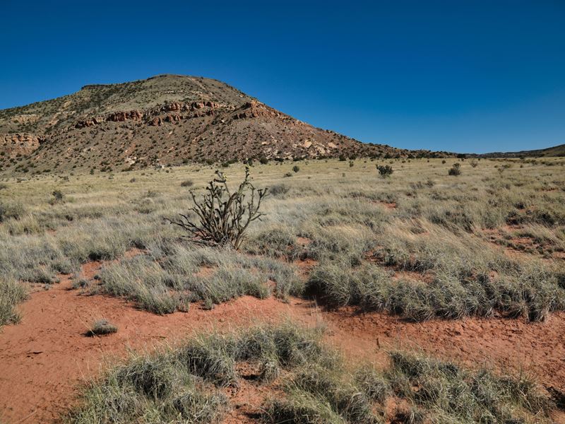 2 Acres for $125/Month : Laguna : Valencia County : New Mexico