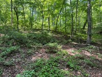 1.04 Acres on Gabriel Way in Picken : Pickens : South Carolina