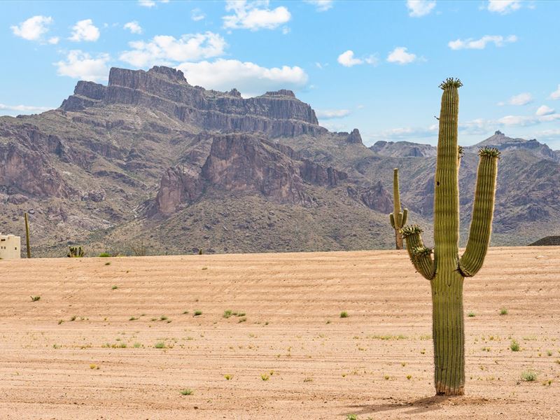 Superstition Mountain Lots : Apache Junction : Pinal County : Arizona