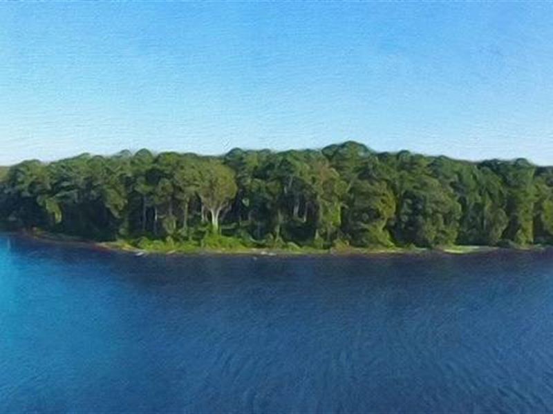 Exquisite Luxury Lot, Water Views : Madison : Madison County : Mississippi