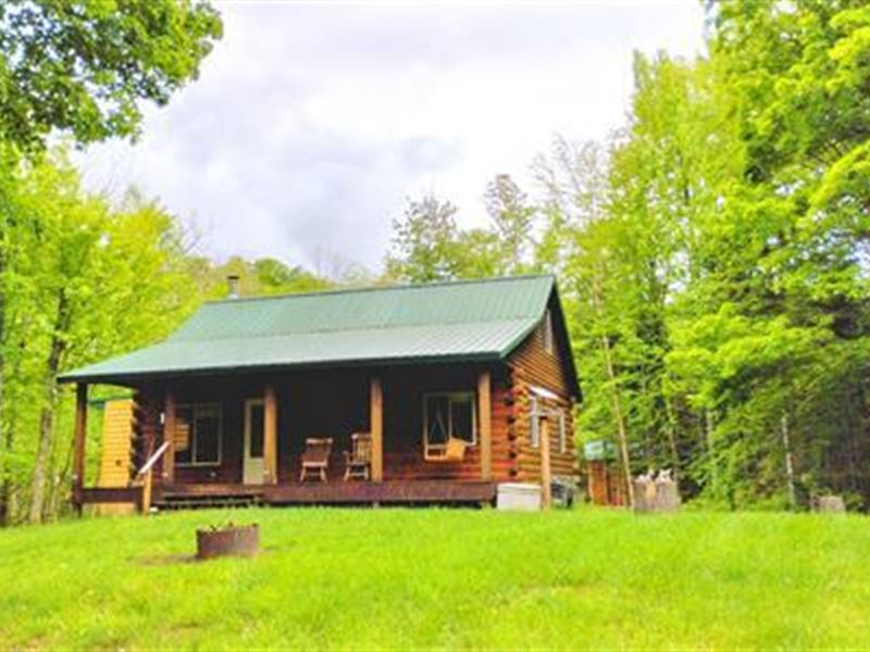 Serene Off-Grid Gem : Covington : Baraga County : Michigan