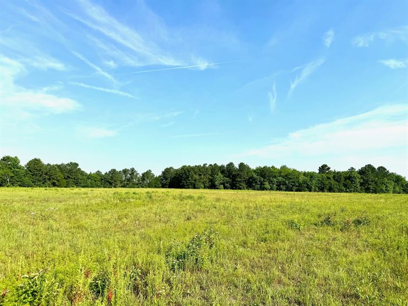 6 Acres in Pike Road : Pike Road : Montgomery County : Alabama