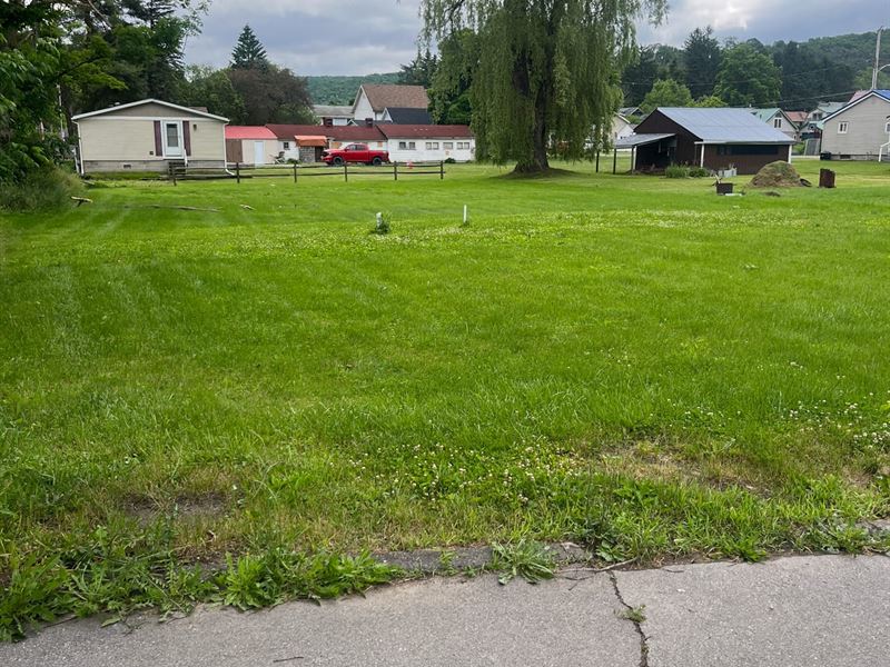 Tioga County, High Street.28 Acres : Westfield : Tioga County : Pennsylvania