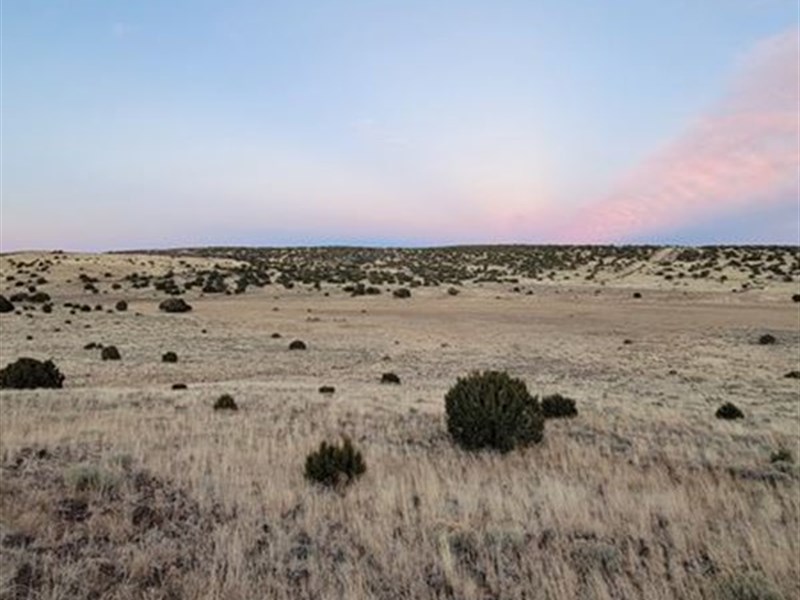 Adventure Awaits with 1.16 Acres : Concho : Apache County : Arizona