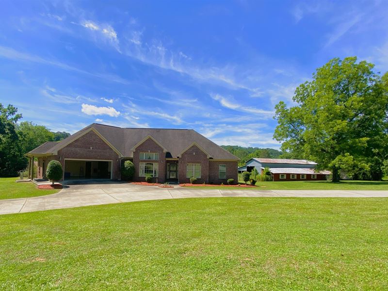 6.7 Ac Homestead & More Land : Oneonta : Blount County : Alabama