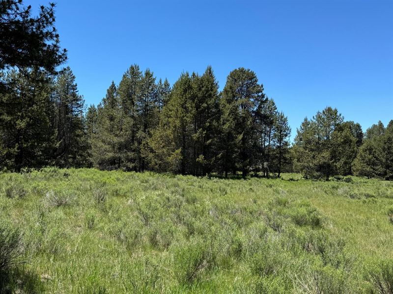 20 Acre Private Hunting Preserve : Chiloquin : Klamath County : Oregon