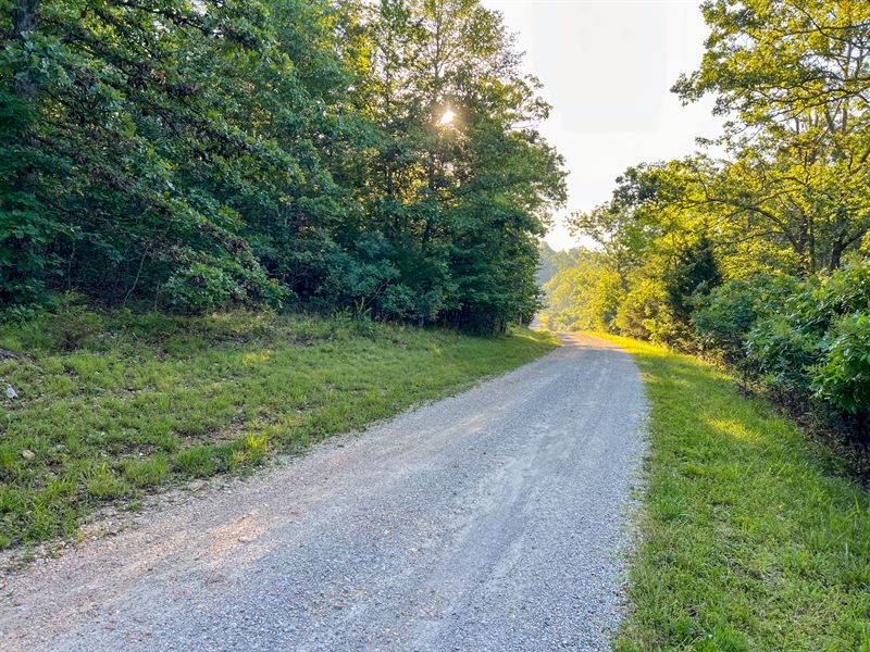 Woods Creek Estate Lot 1 : Mountain View : Howell County : Missouri