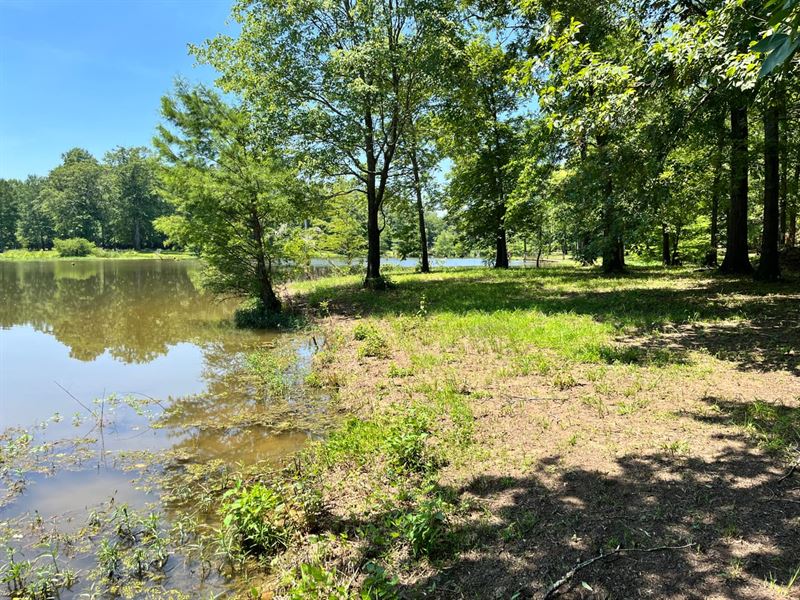 Beautiful Adjacent Waterfront Lots : Eutaw : Greene County : Alabama