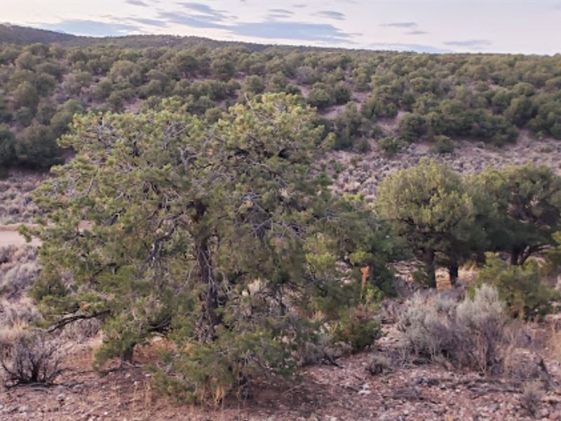 5.1 Ac of Beauty in Costilla County : San Luis : Costilla County : Colorado