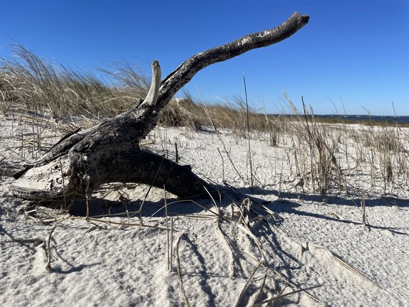 Waterfront Lot for Sale, Beaufort : Beaufort : Carteret County : North Carolina