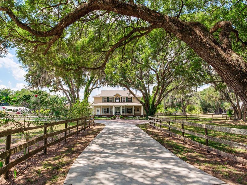 Perfect Countryside Escape : Lithia : Hillsborough County : Florida