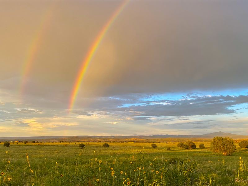 Expansive 20 Ac Seller Pays Closing : Ash Fork : Yavapai County : Arizona