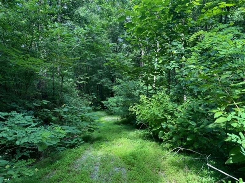 Lot 12, 5.10 Acres On Hideaway : Landrum : Greenville County : South Carolina